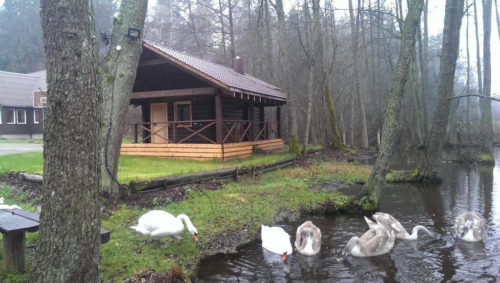 Poilsio Baze Guest House Latežeris Екстериор снимка
